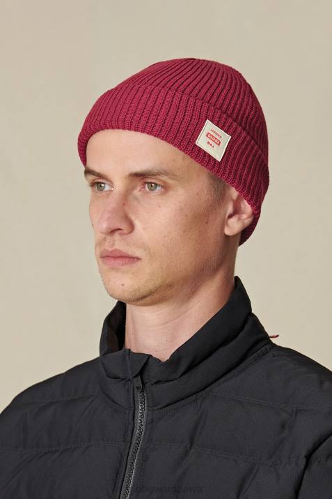 podtrzymaj czapkę Globe Brand N8J4366 Rabarbar Akcesoria